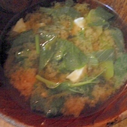 豆腐と青菜の味噌汁